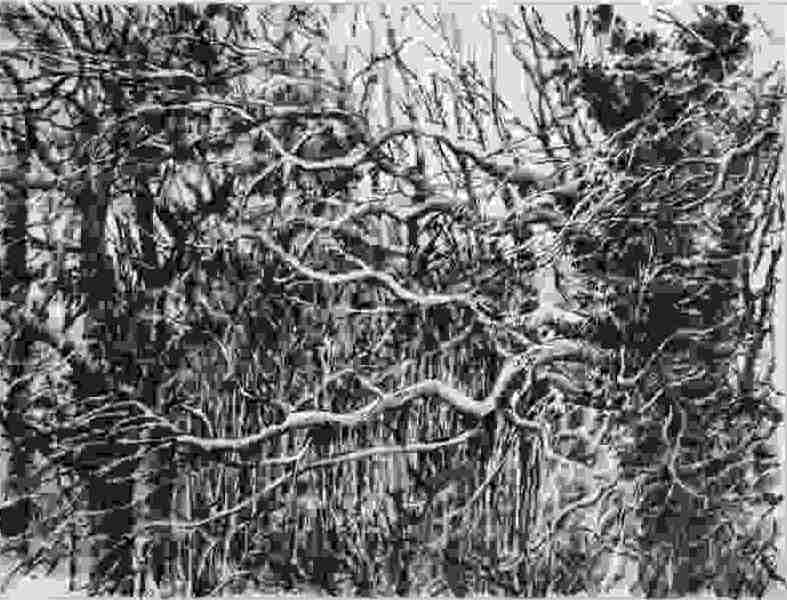 Waldrand